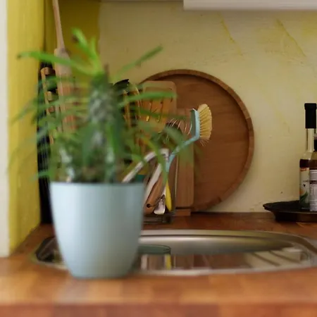 Apartment Souterrainwohnung Mit Großem Garten Und Sauna *
