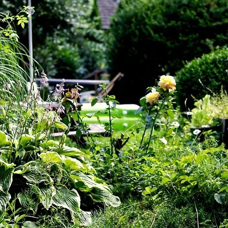 Souterrainwohnung Mit Großem Garten Und Sauna